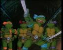 turtle-toon.jpg
